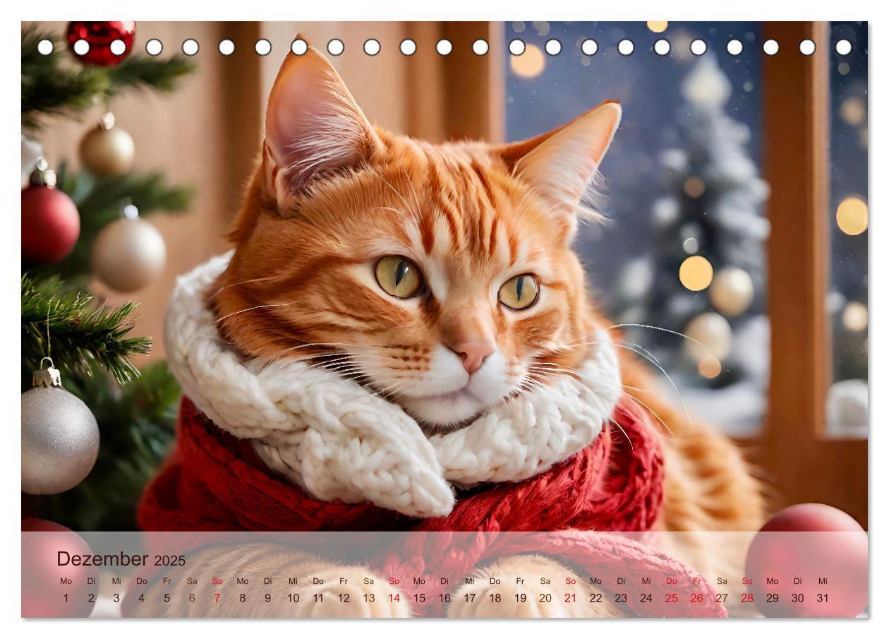 Bild: 9783383817885 | Rote Katzen (Tischkalender 2025 DIN A5 quer), CALVENDO Monatskalender