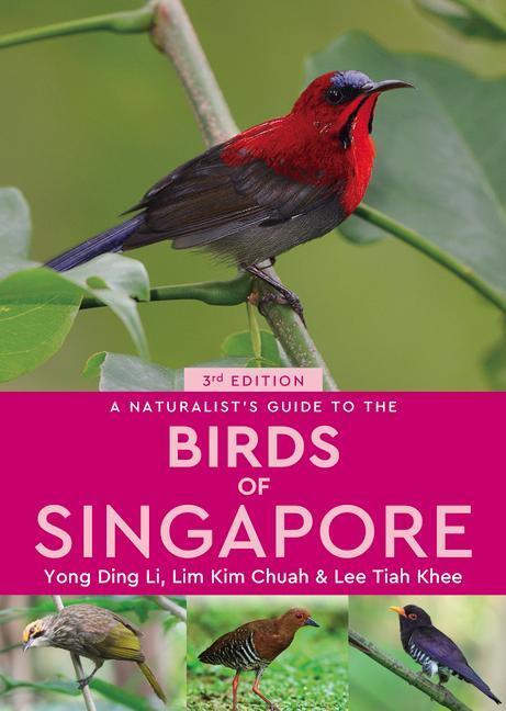 Cover: 9781912081653 | A Naturalist's Guide to the Birds of Singapore | Yong Ding Li (u. a.)