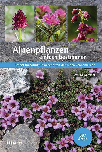 Cover: 9783258082301 | Alpenpflanzen einfach bestimmen | Peter M. Kammer | Buch | Deutsch
