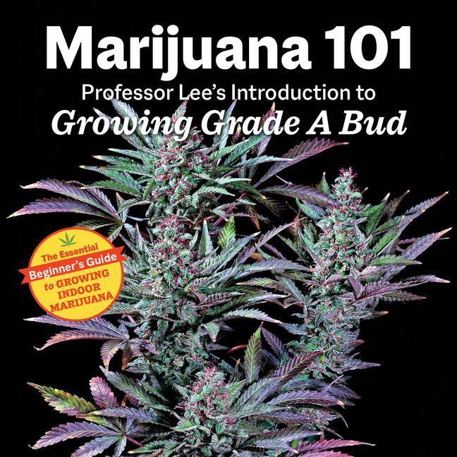 Cover: 9781937866884 | Marijuana 101 | Professor Lee | Taschenbuch | Kartoniert / Broschiert