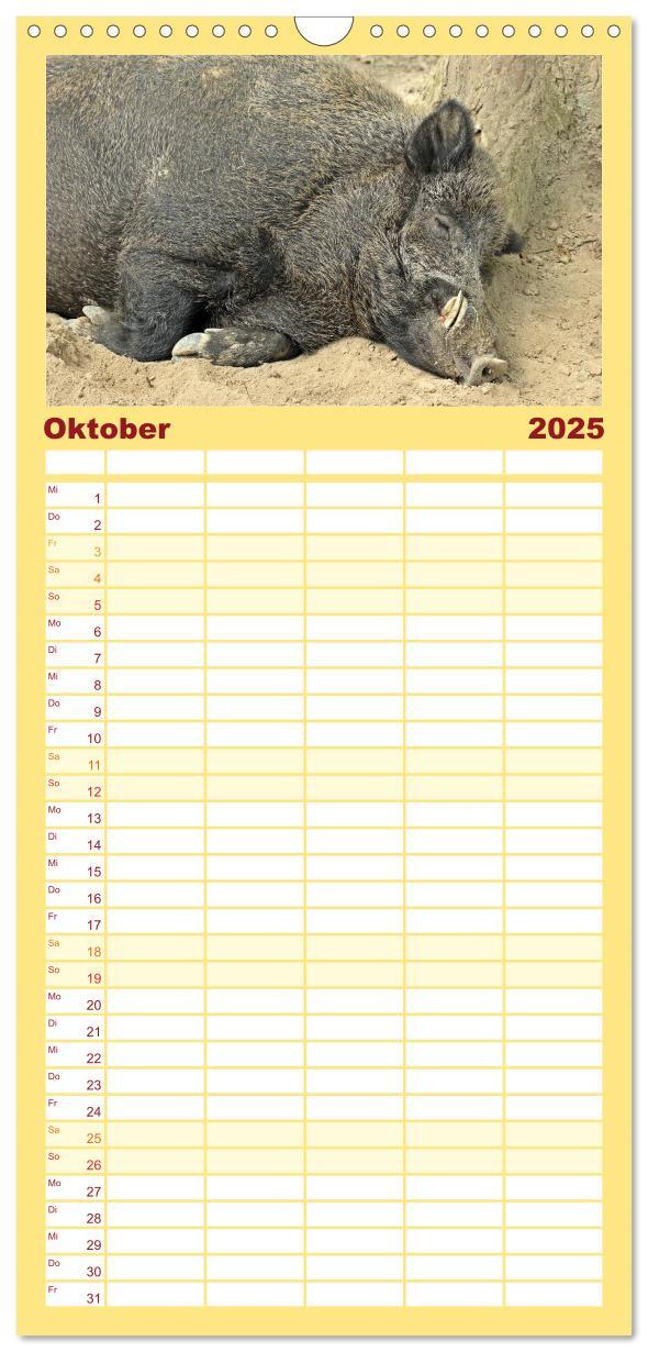 Bild: 9783457116715 | Familienplaner 2025 - Der Schweinekalender mit 5 Spalten...