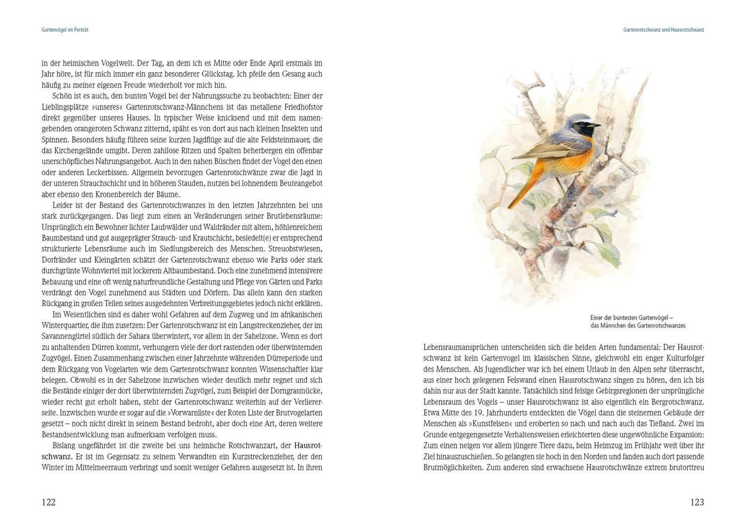 Bild: 9783895663758 | Das große Buch der Gartenvögel | Uwe Westphal | Buch | 288 S. | 2018