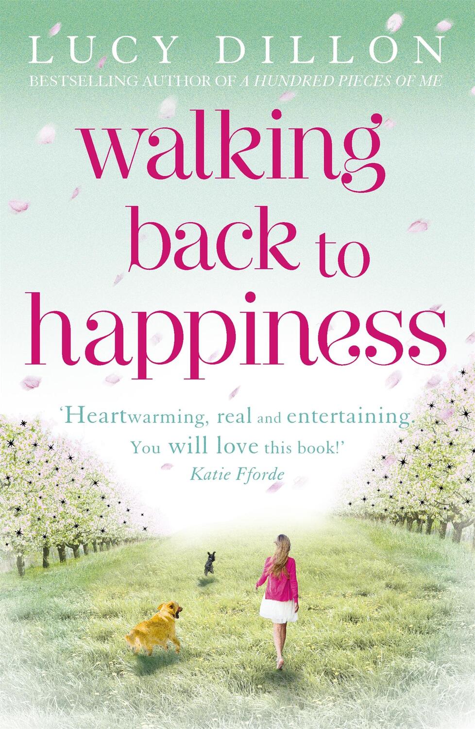 Cover: 9781444713916 | Walking Back To Happiness | Lucy Dillon | Taschenbuch | Englisch