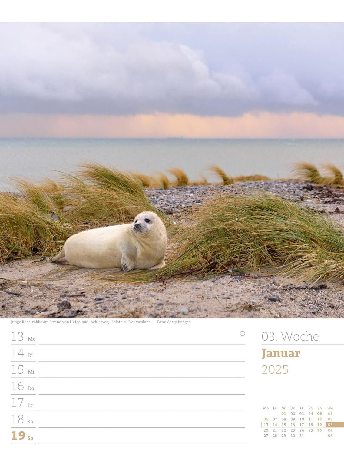 Bild: 9783838435039 | Am Meer - Wochenplaner Kalender 2025 | Ackermann Kunstverlag | 56 S.