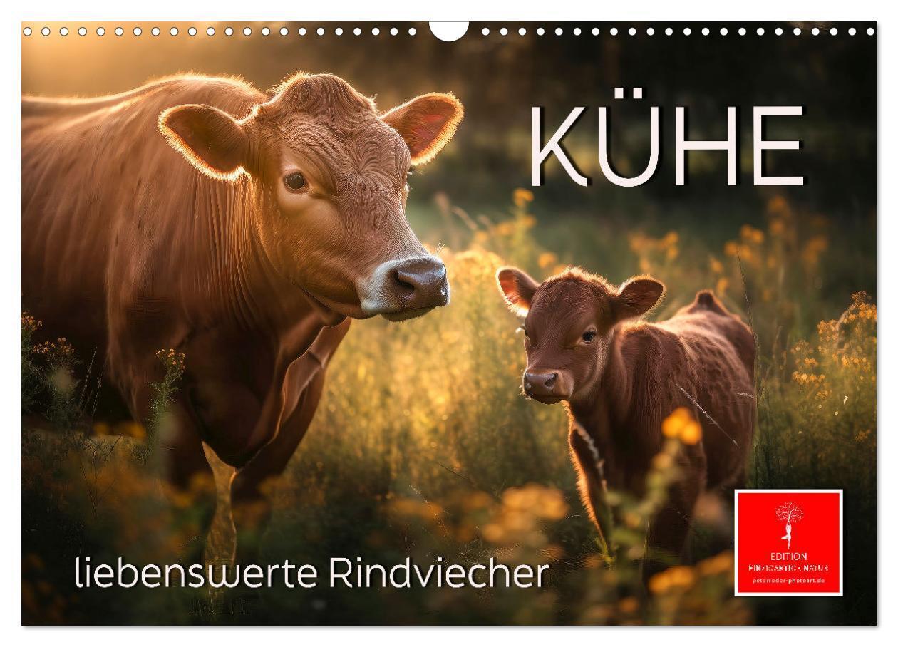 Cover: 9783675542518 | Kühe - liebenswerte Rindviecher (Wandkalender 2024 DIN A3 quer),...