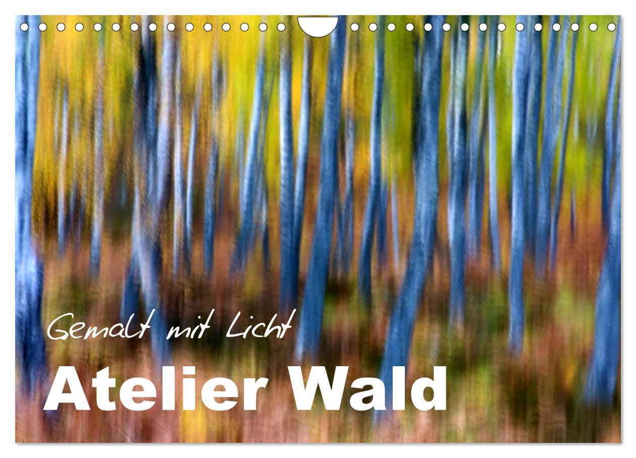 Cover: 9783435614776 | Atelier Wald - gemalt mit Licht (Wandkalender 2025 DIN A4 quer),...