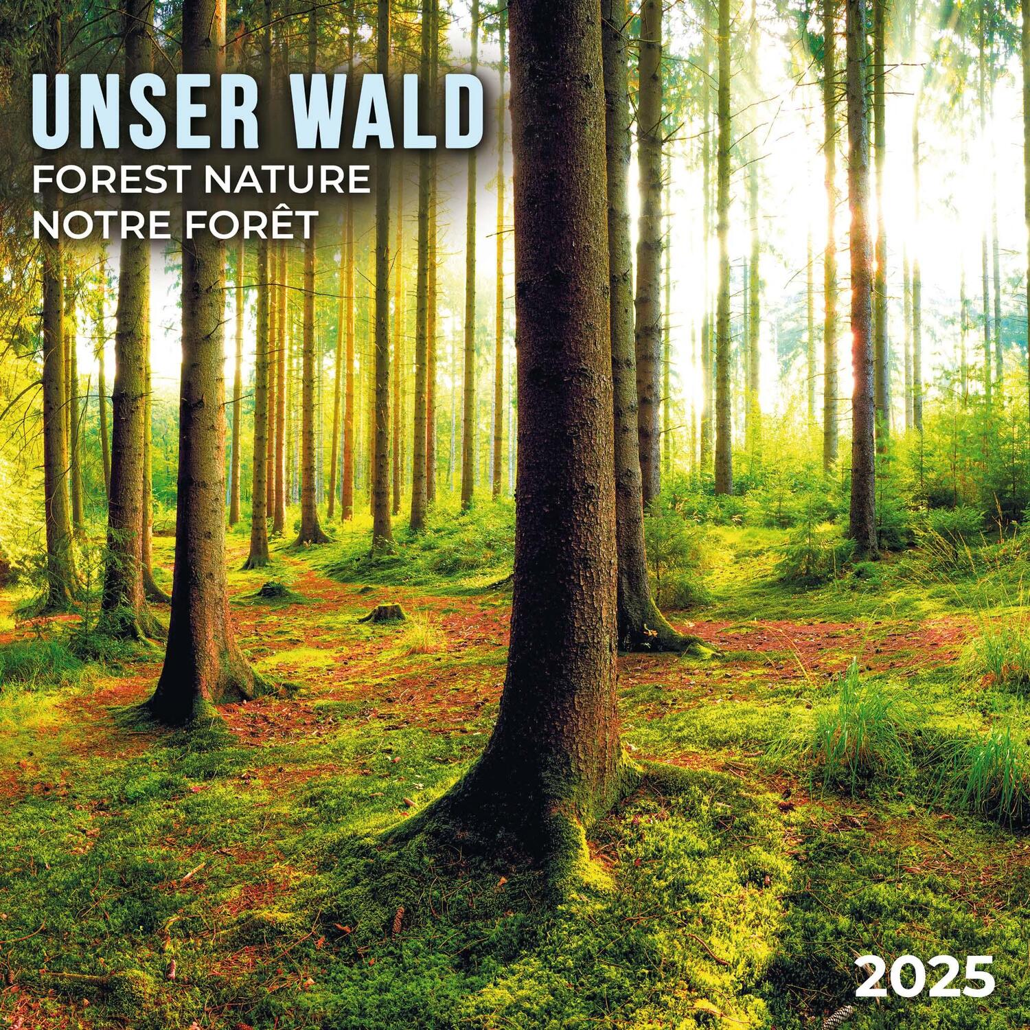Cover: 9783959294676 | Forest Nature/Unser Wald 2025 | Kalender 2025 | Kalender | 28 S.