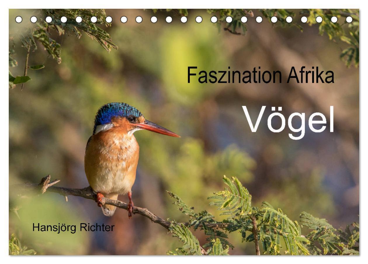 Cover: 9783383206733 | Faszination Afrika - Vögel (Tischkalender 2024 DIN A5 quer),...