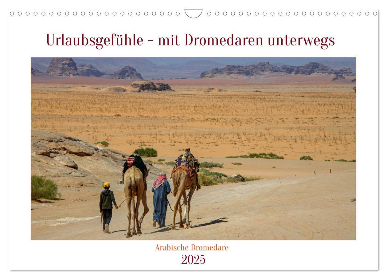 Cover: 9783383929199 | Urlaubsgefühle - mit Dromedaren unterwegs (Wandkalender 2025 DIN A3...