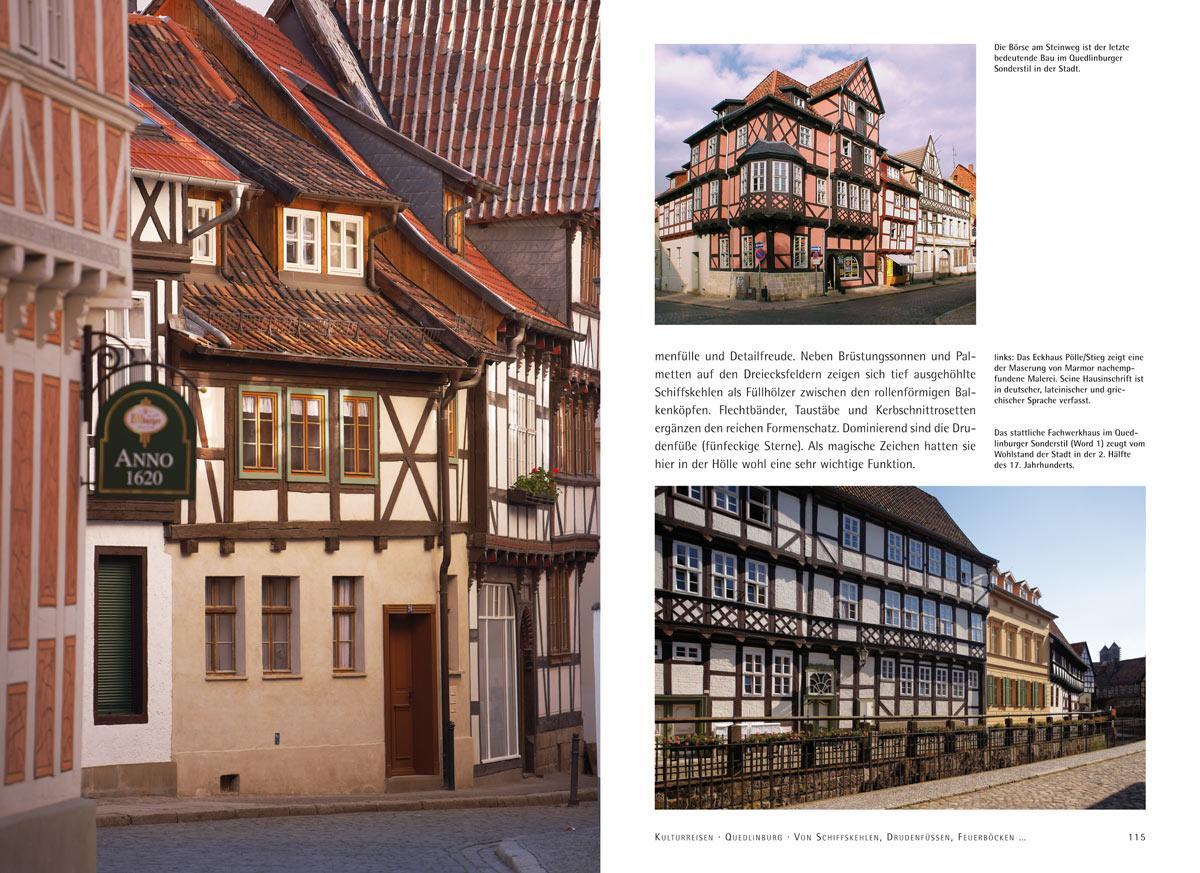 Bild: 9783899232486 | Quedlinburg. Aus dem Tagebuch einer Tausendjährigen | Rienäcker | Buch
