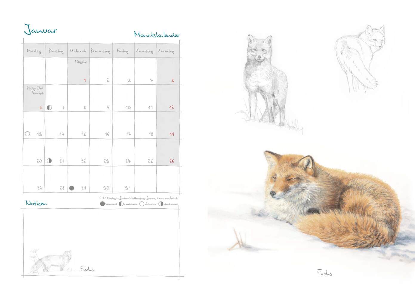 Bild: 9783895664366 | Mein Naturkalender 2025 | Naturillustrationen von Christopher Schmidt