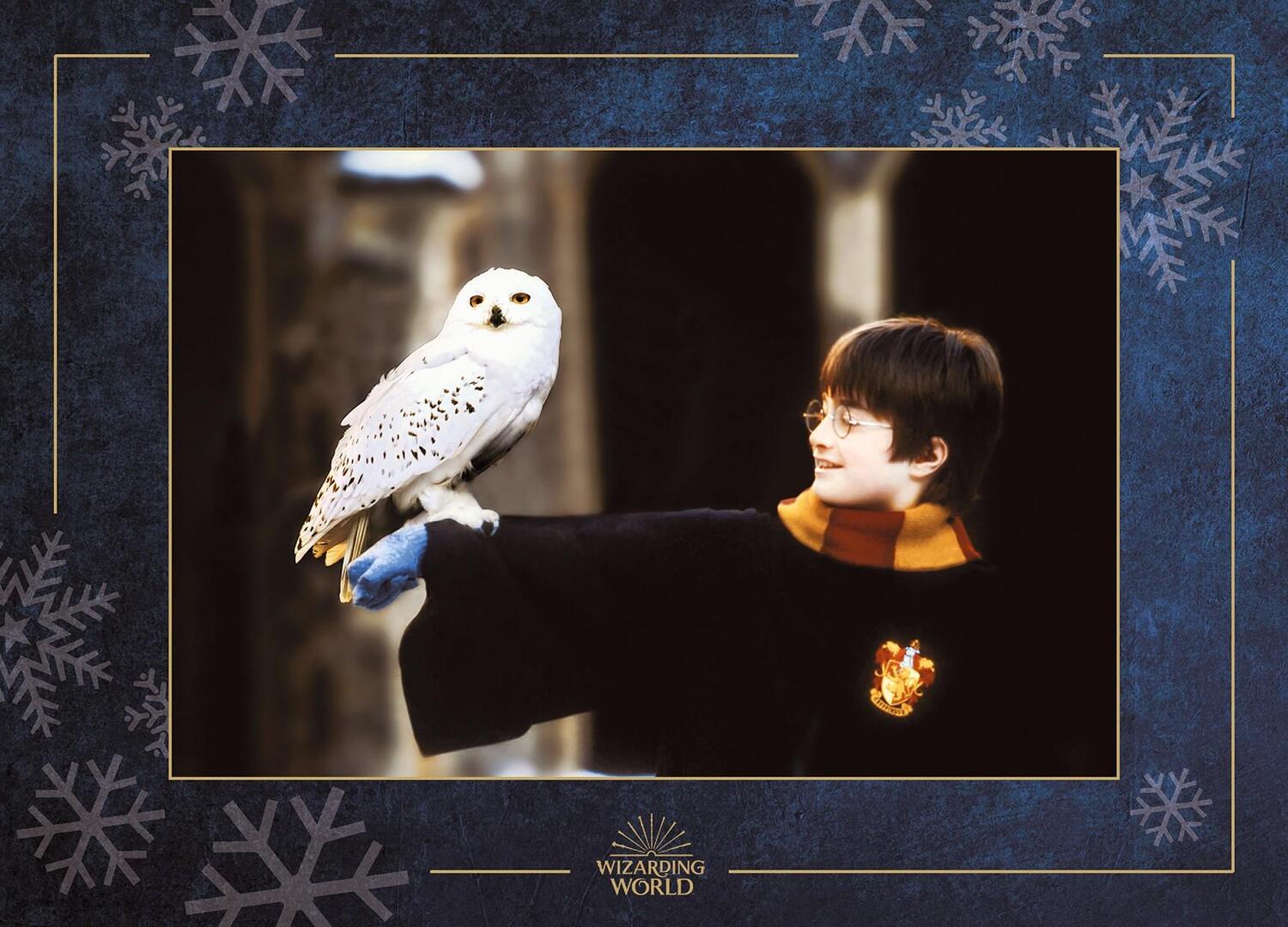 Bild: 9783833242052 | Aus den Filmen zu Harry Potter: Hedwig - ein magischer Pop-up...