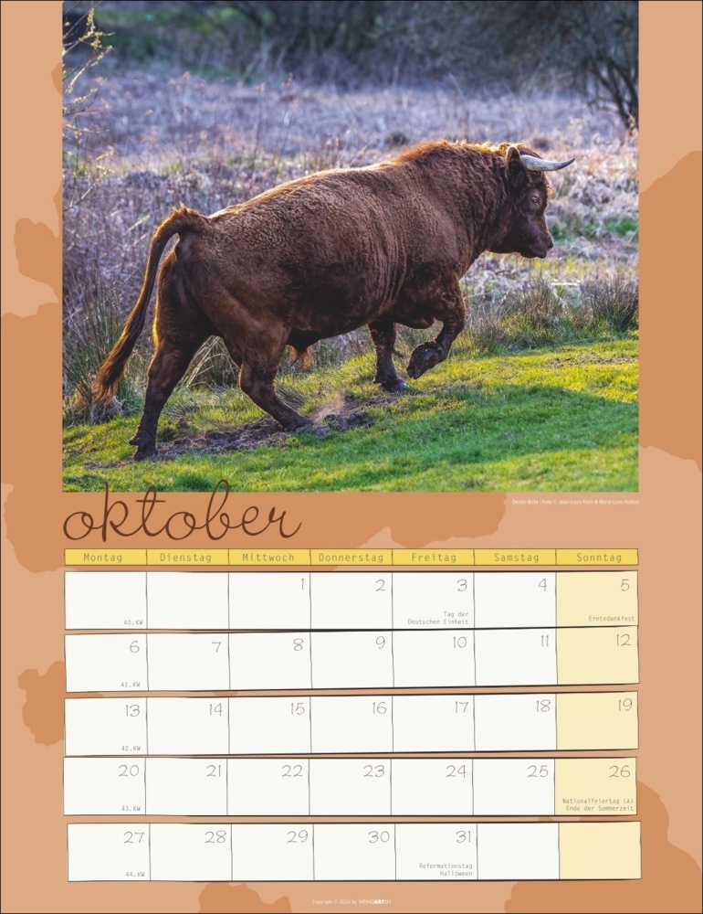 Bild: 9783839900734 | Kuh Kalender 2025 | Marie-Luce Hubert (u. a.) | Kalender | 14 S.