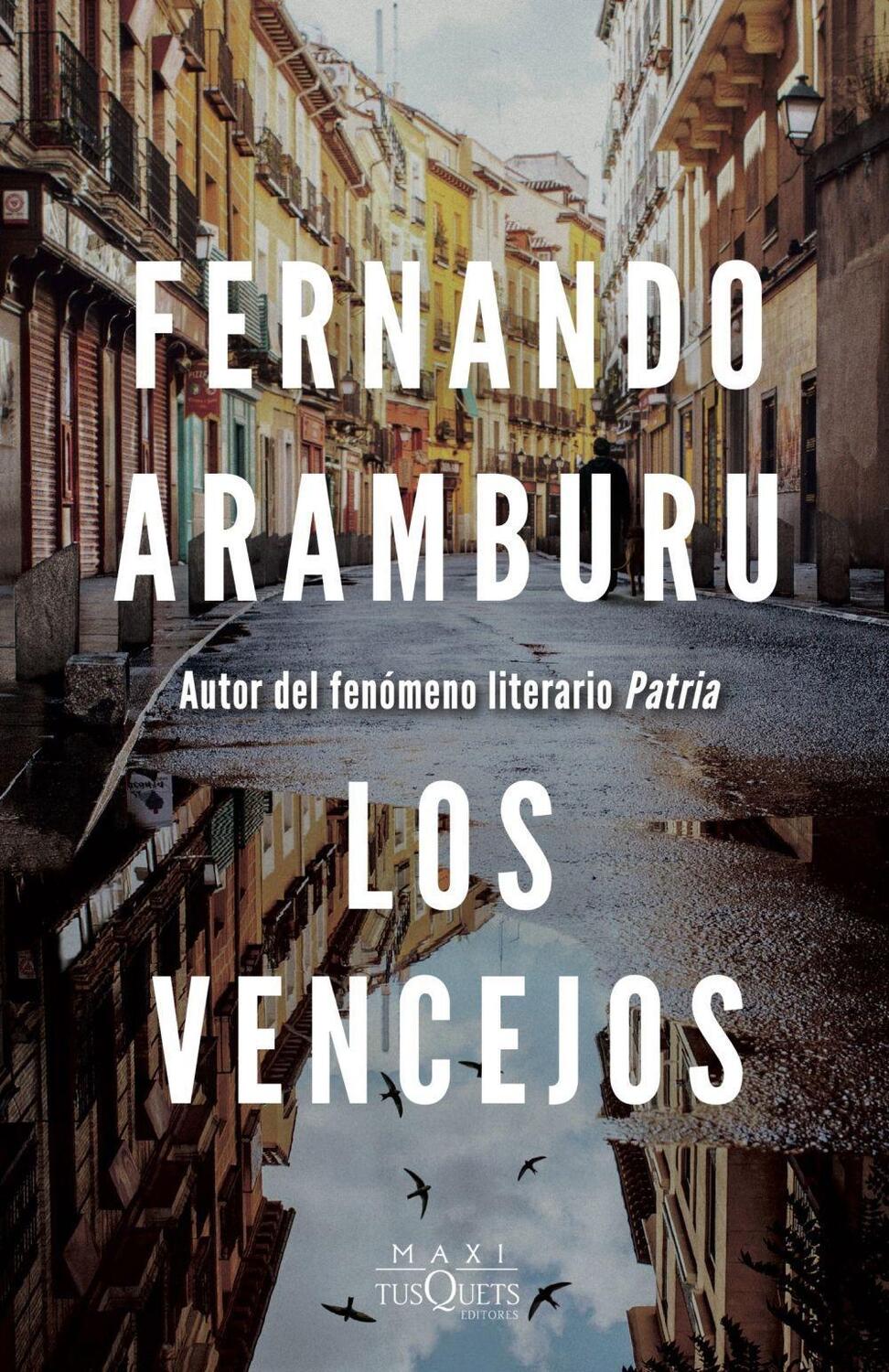Cover: 9788411072229 | Los vencejos | Fernando Aramburu | Taschenbuch | Spanisch | 2023