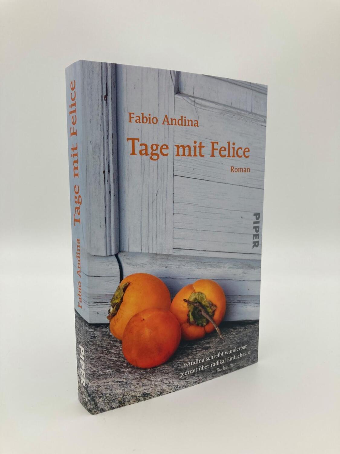 Bild: 9783492317597 | Tage mit Felice | Fabio Andina | Taschenbuch | 240 S. | Deutsch | 2022