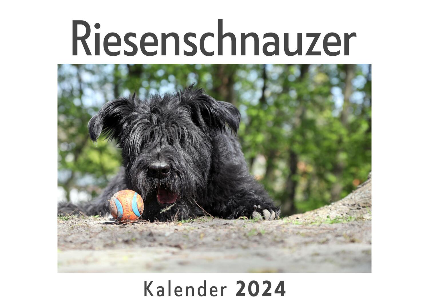 Cover: 9783750557314 | Riesenschnauzer (Wandkalender 2024, Kalender DIN A4 quer,...