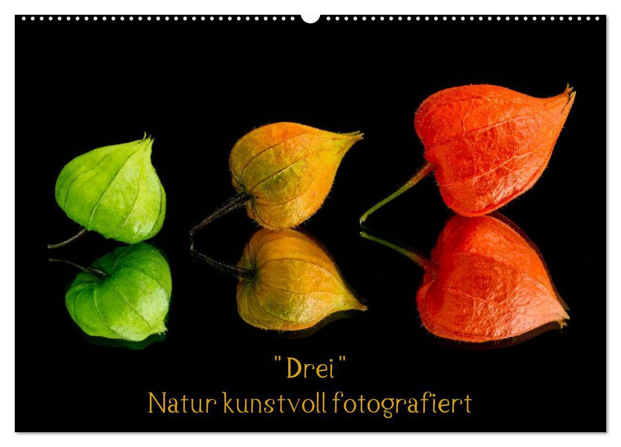 Cover: 9783383529979 | "Drei" Natur kunstvoll fotografiert (Wandkalender 2024 DIN A2...