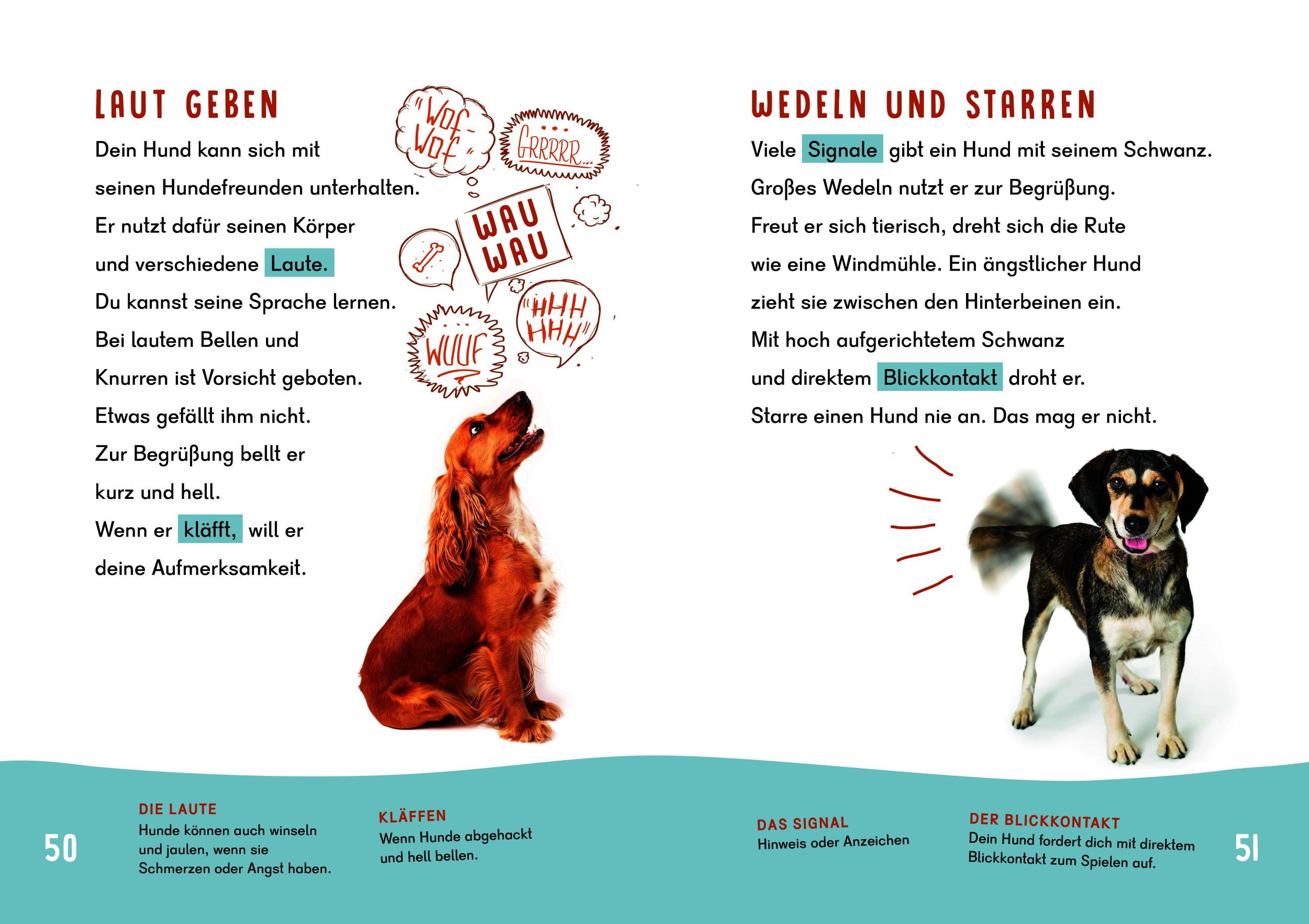 Bild: 9783411780044 | Dein Lesestart - Hunde | Karolin Küntzel | Buch | Dein Lesestart