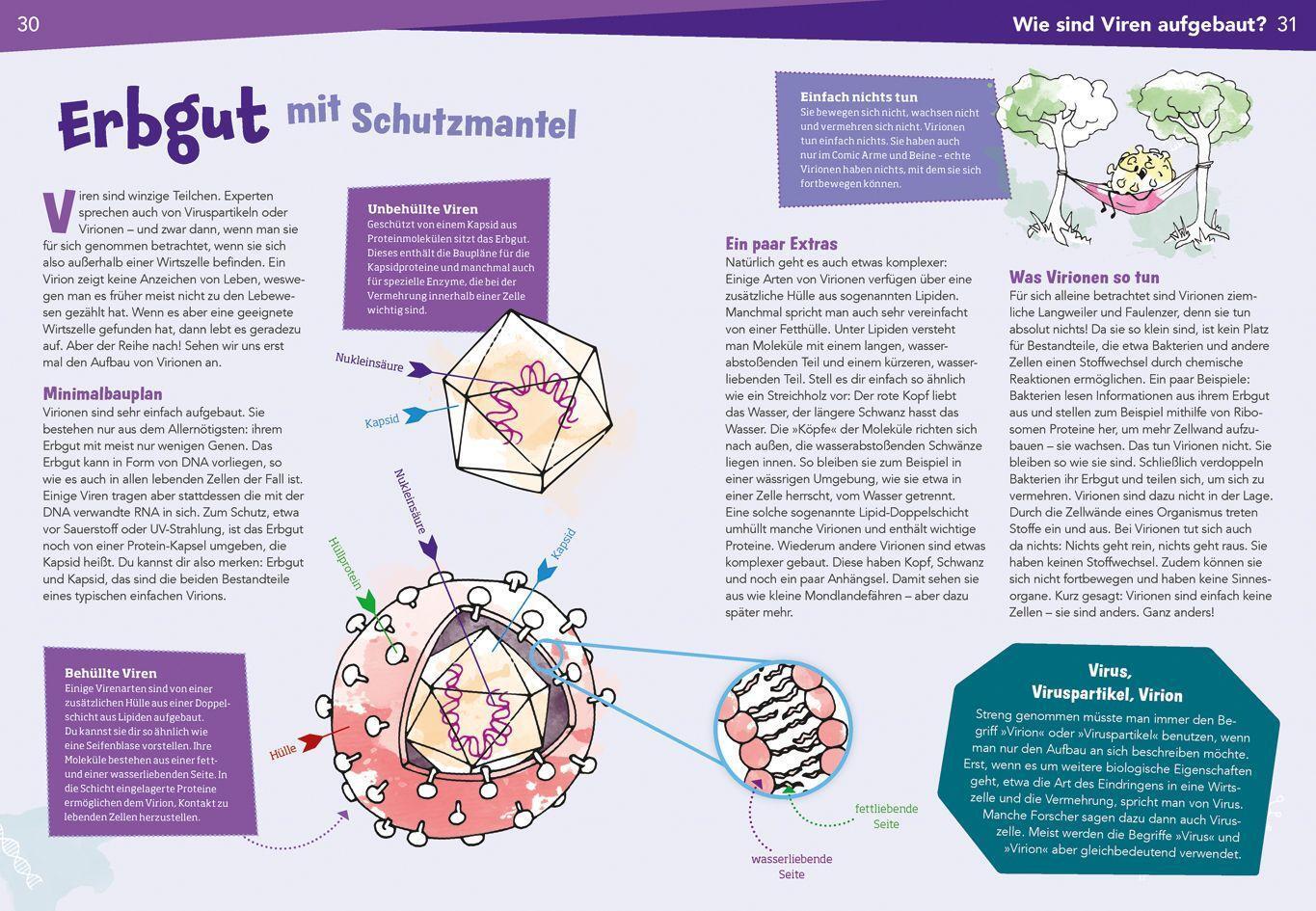 Bild: 9783788676957 | WAS IST WAS Naturwissenschaften easy! Biologie. Die Viren und wir