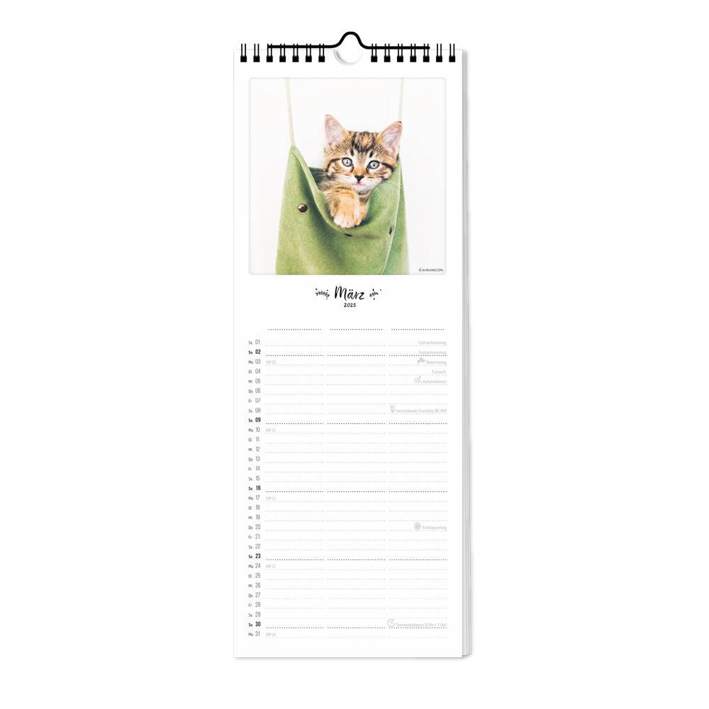 Bild: 4251781179348 | Planer 2025 - Bunter Hund | 3 Spalten | Pickmotion | Kalender | 2025