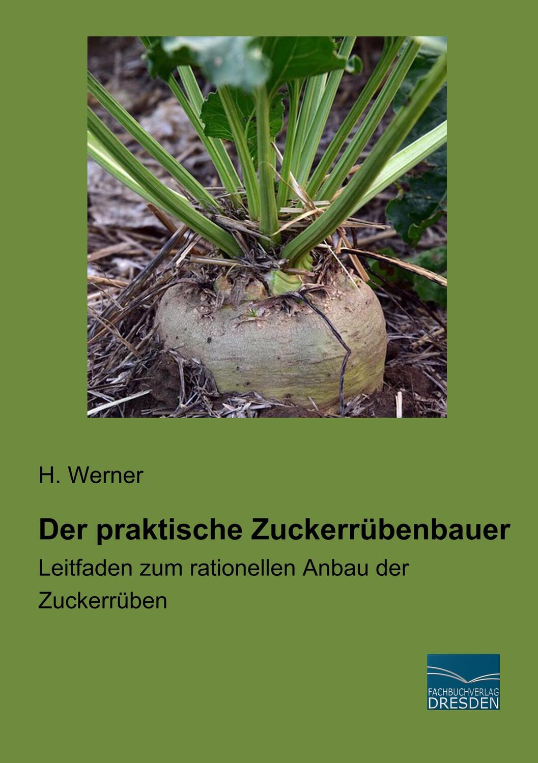 Cover: 9783961691166 | Der praktische Zuckerrübenbauer | H. Werner | Taschenbuch | Paperback