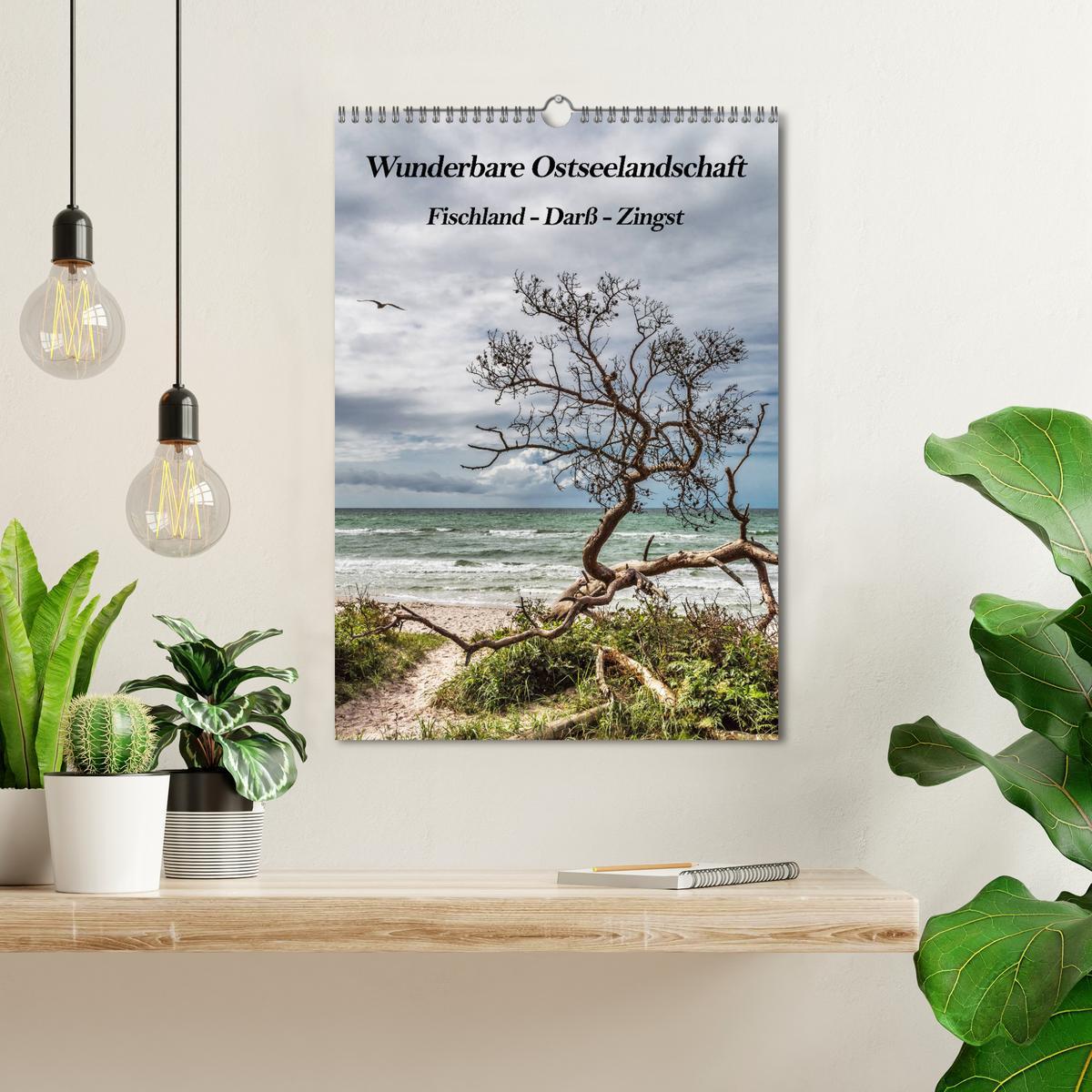 Bild: 9783435956272 | Wunderbare Ostseelandschaft Fischland-Darß-Zingst (Wandkalender...