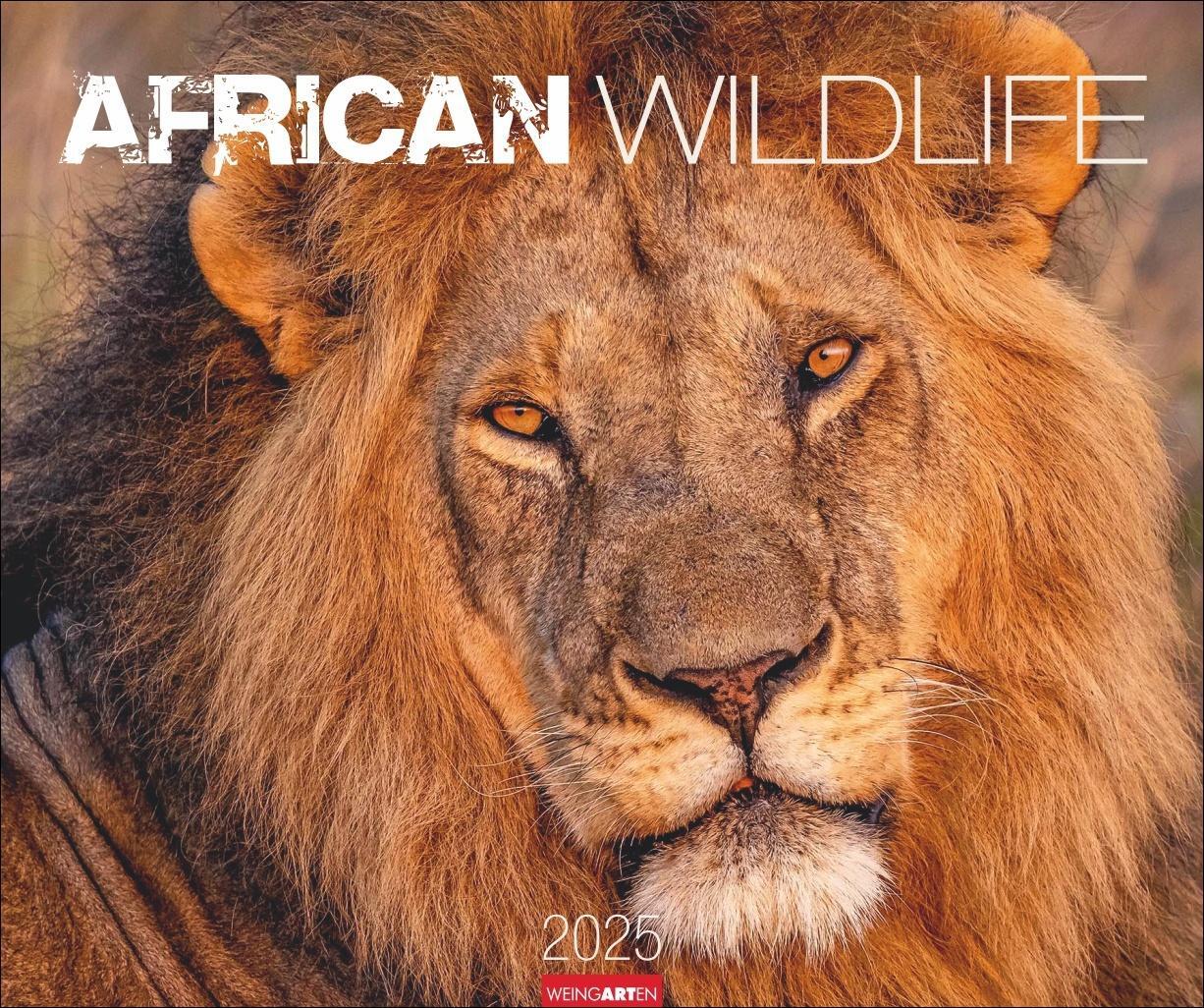 Cover: 9783839901014 | African Wildlife Kalender 2025 | Kalender | Spiralbindung | 14 S.