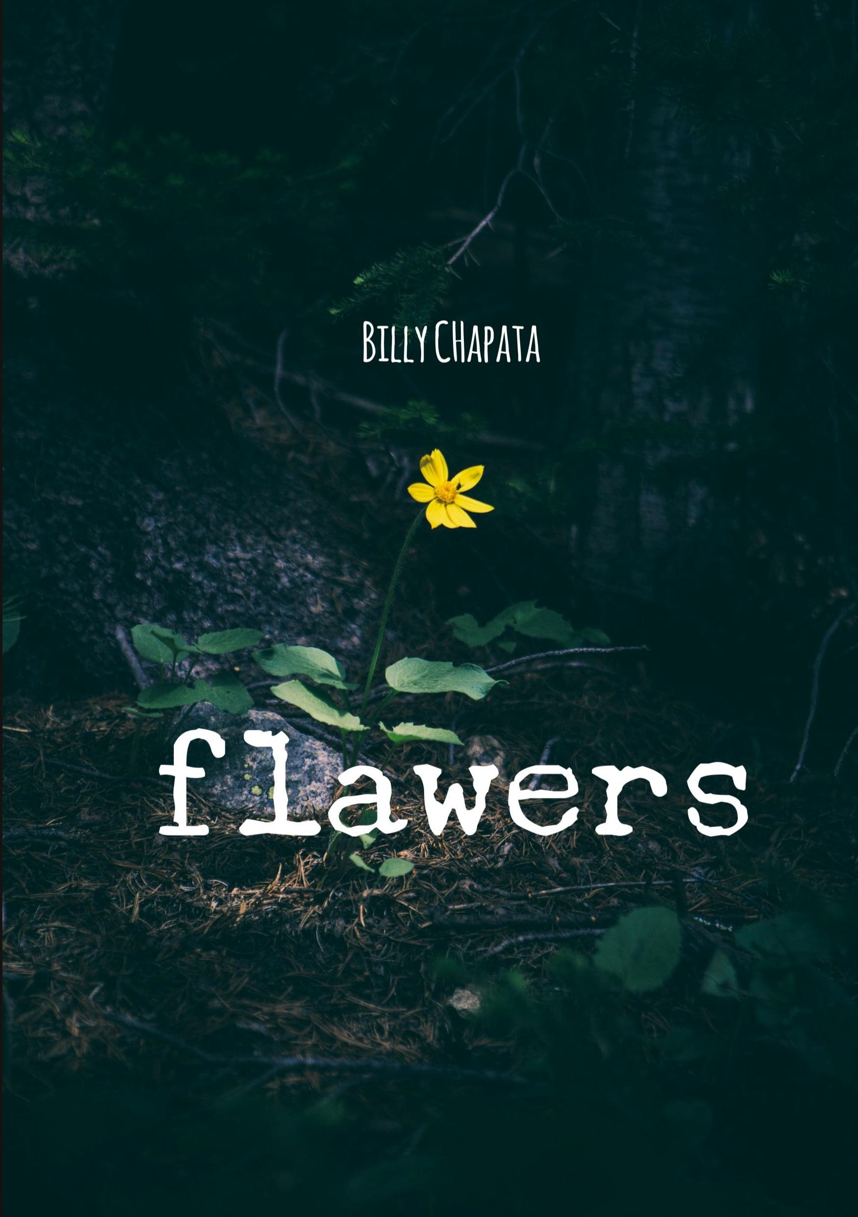 Cover: 9781329927377 | Flawers | Billy Chapata | Taschenbuch | Englisch | 2016 | Lulu.com