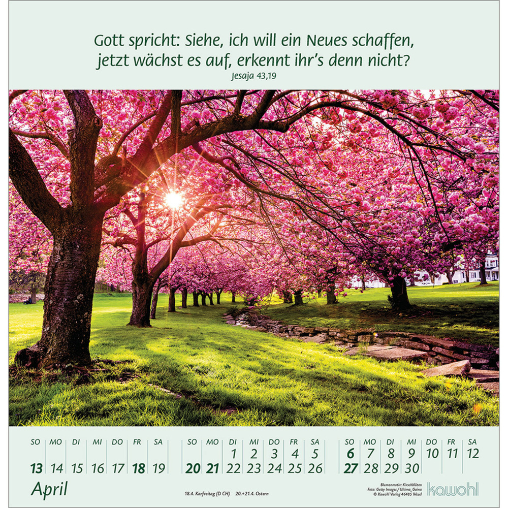 Bild: 9783754826058 | Blumengrüße 2025 | Kalender mit Bibelworten und Blumenbildern | 14 S.