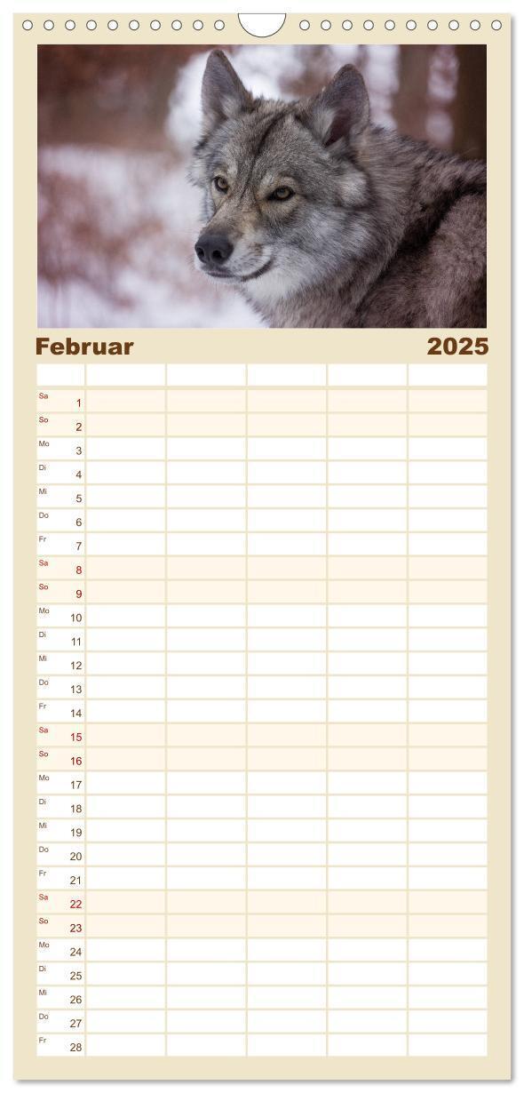 Bild: 9783457117187 | Familienplaner 2025 - Wolfshunde 2025 mit 5 Spalten (Wandkalender,...