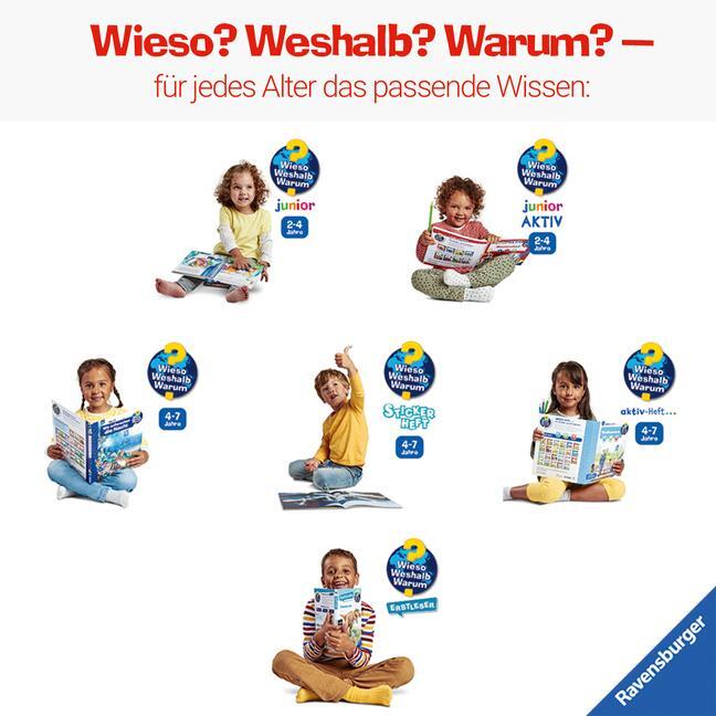 Bild: 9783473600311 | Wieso? Weshalb? Warum? Sonderband junior: Kennst du Formen, Farben,...