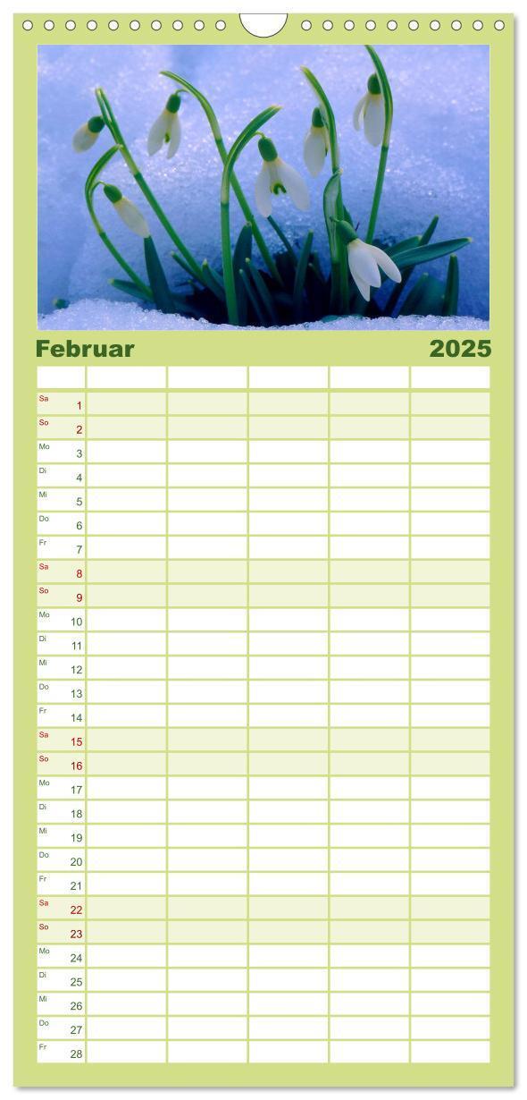 Bild: 9783457120347 | Familienplaner 2025 - Wildblumen 2025 mit 5 Spalten (Wandkalender,...