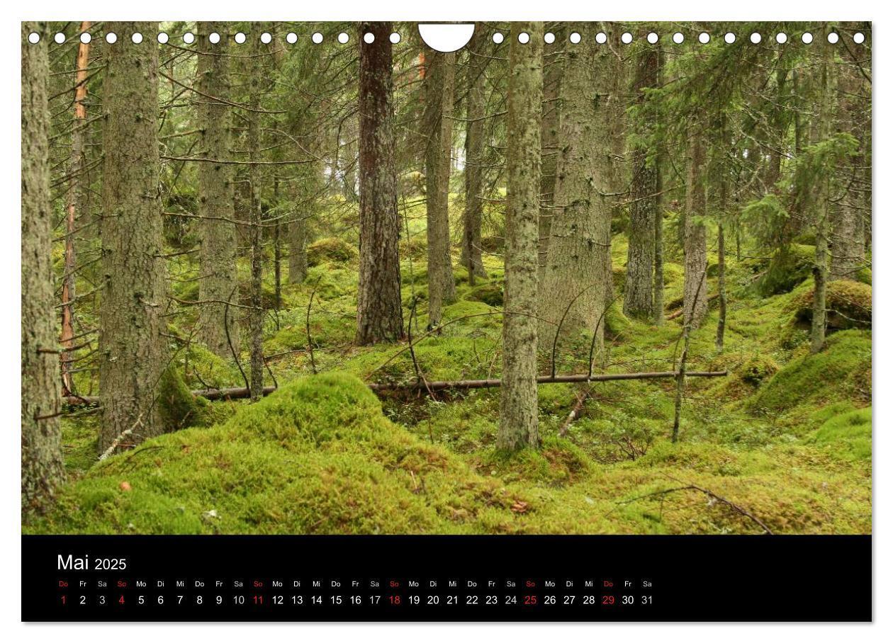 Bild: 9783435812707 | Schweden 2025 (Wandkalender 2025 DIN A4 quer), CALVENDO Monatskalender