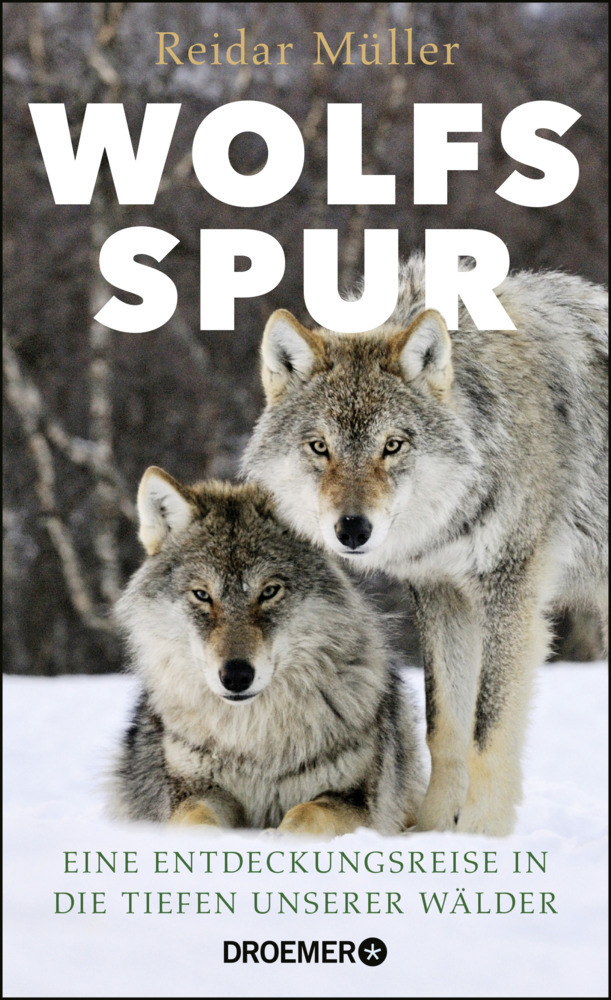 Cover: 9783426277966 | Wolfsspur | Eine Entdeckungsreise in die Tiefen unserer Wälder | Buch