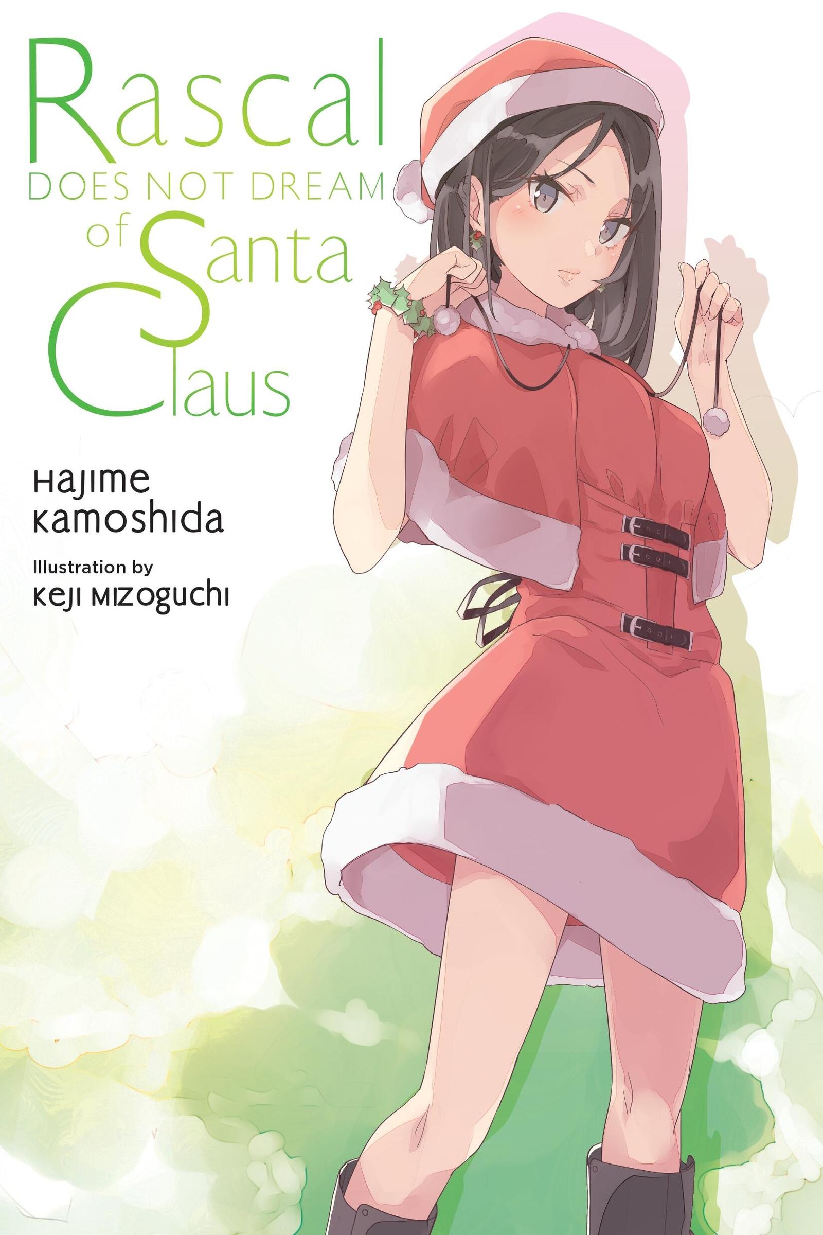 Cover: 9781975391607 | Rascal Does Not Dream of Santa Claus (Light Novel) | Volume 13 | Buch