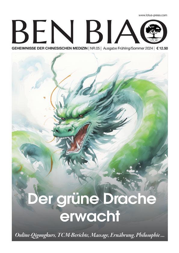 Cover: 9783910660052 | Der grüne Drache erwacht | Joachim Stuhlmacher | Taschenbuch | 72 S.