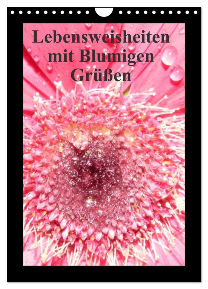 Cover: 9783383610035 | Lebensweisheiten mit Blumigen Grüßen (Wandkalender 2024 DIN A4...