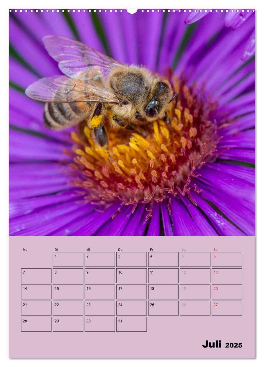 Bild: 9783457051443 | Bienenplaner (Wandkalender 2025 DIN A2 hoch), CALVENDO Monatskalender