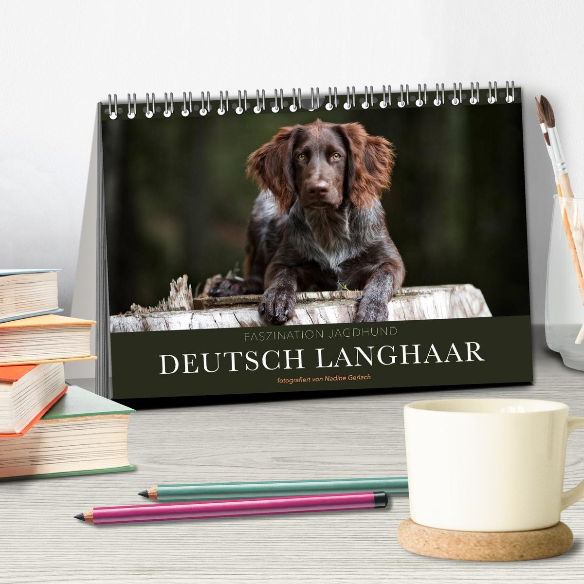 Bild: 9783435173310 | Faszination Jagdhund - Deutsch Langhaar (Tischkalender 2025 DIN A5...