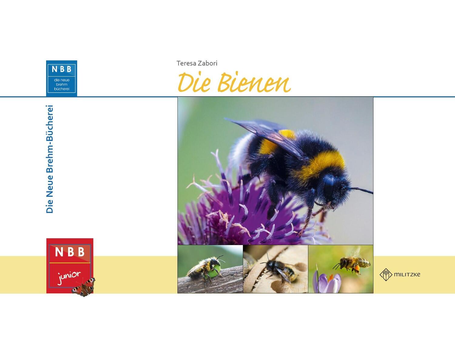 Cover: 9783894328719 | Die Bienen | Teresa Zabori | Buch | NBB junior | Deutsch | 2023