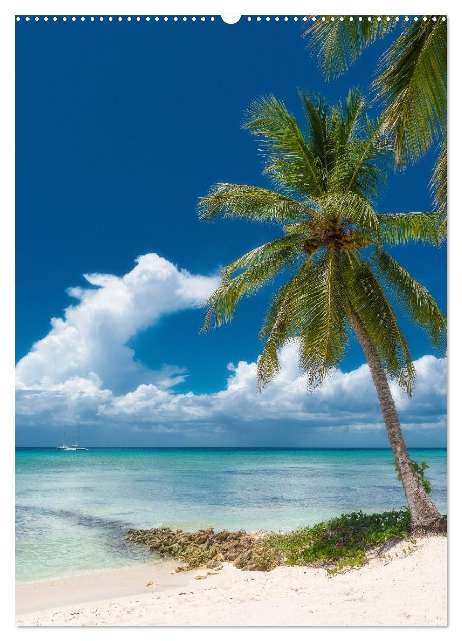 Bild: 9783435904808 | Karibischer Traum Isla Saona (hochwertiger Premium Wandkalender...