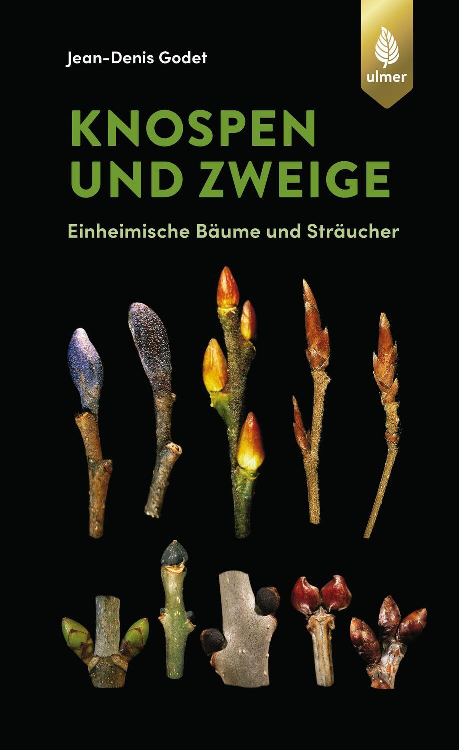 Cover: 9783818609641 | Knospen und Zweige | Einheimische Bäume und Sträucher | Godet | Buch