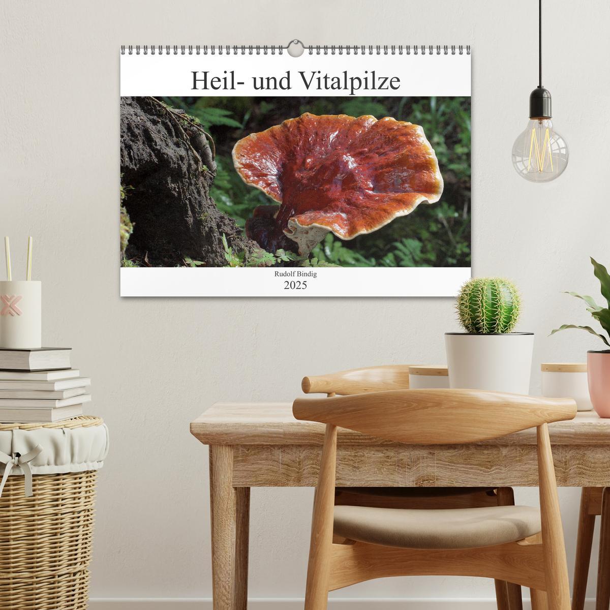 Bild: 9783435100286 | Heil- und Vitalpilze (Wandkalender 2025 DIN A3 quer), CALVENDO...