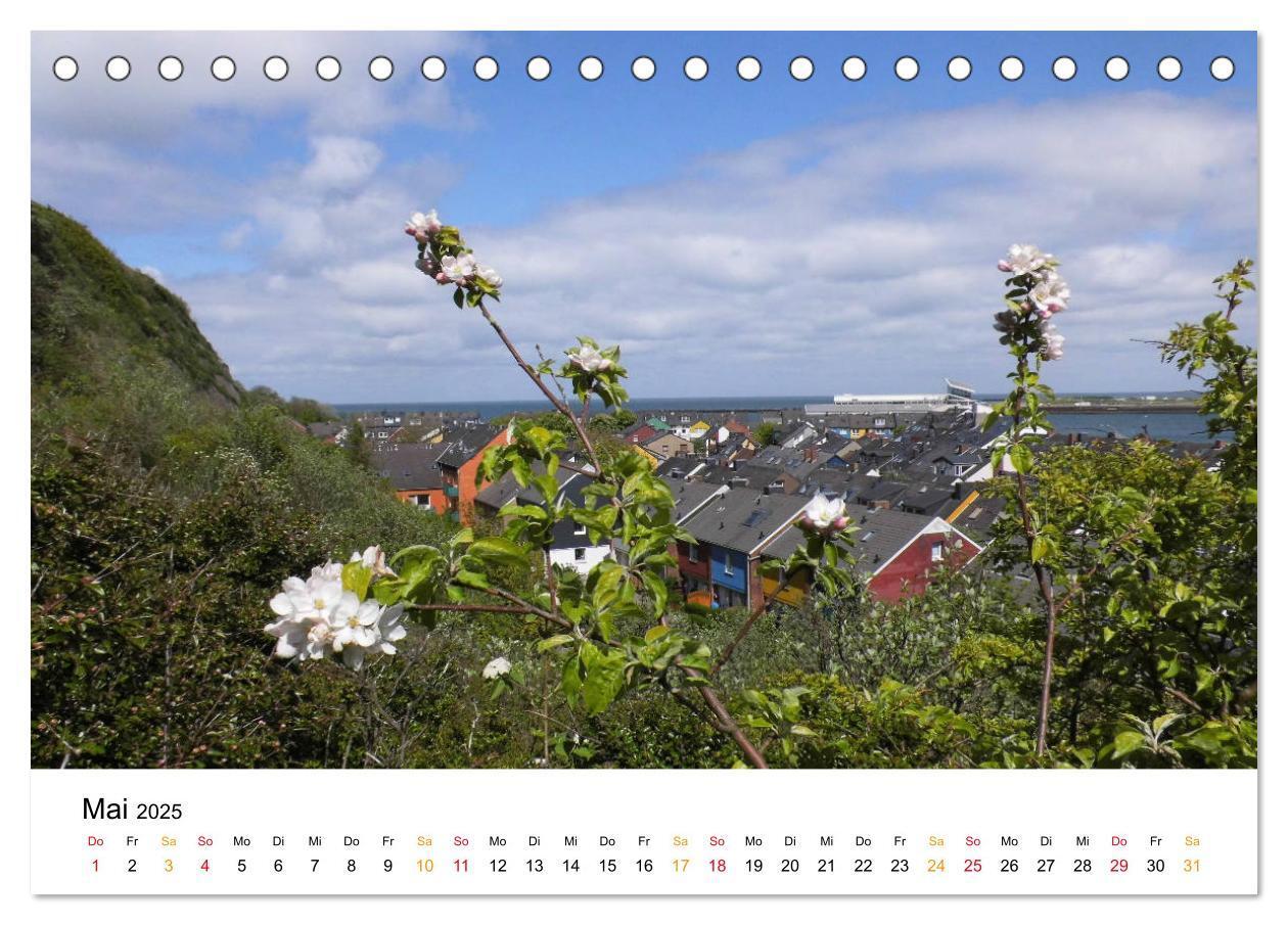 Bild: 9783435402922 | Helgoland Kalender (Tischkalender 2025 DIN A5 quer), CALVENDO...