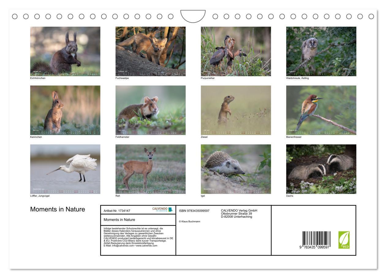 Bild: 9783435099597 | Moments in Nature (Wandkalender 2025 DIN A4 quer), CALVENDO...