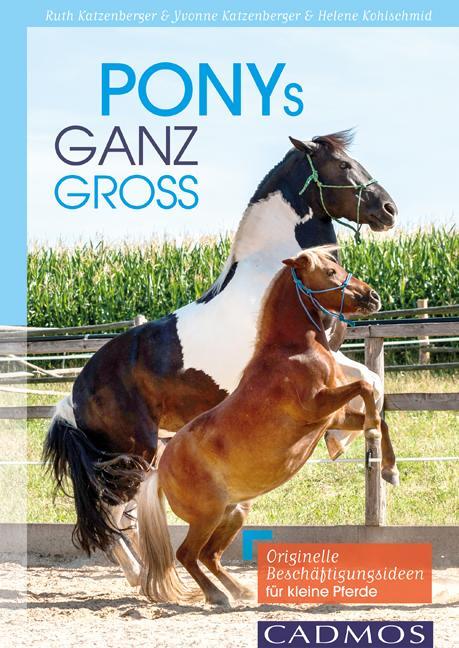 Cover: 9783840415210 | Ponys ganz groß | Originelle Beschäftigungsideen für kleine Pferde