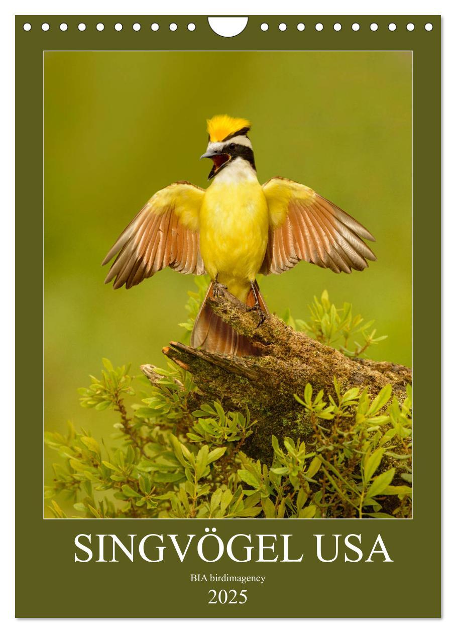 Cover: 9783435987801 | Singvögel USA (Wandkalender 2025 DIN A4 hoch), CALVENDO Monatskalender