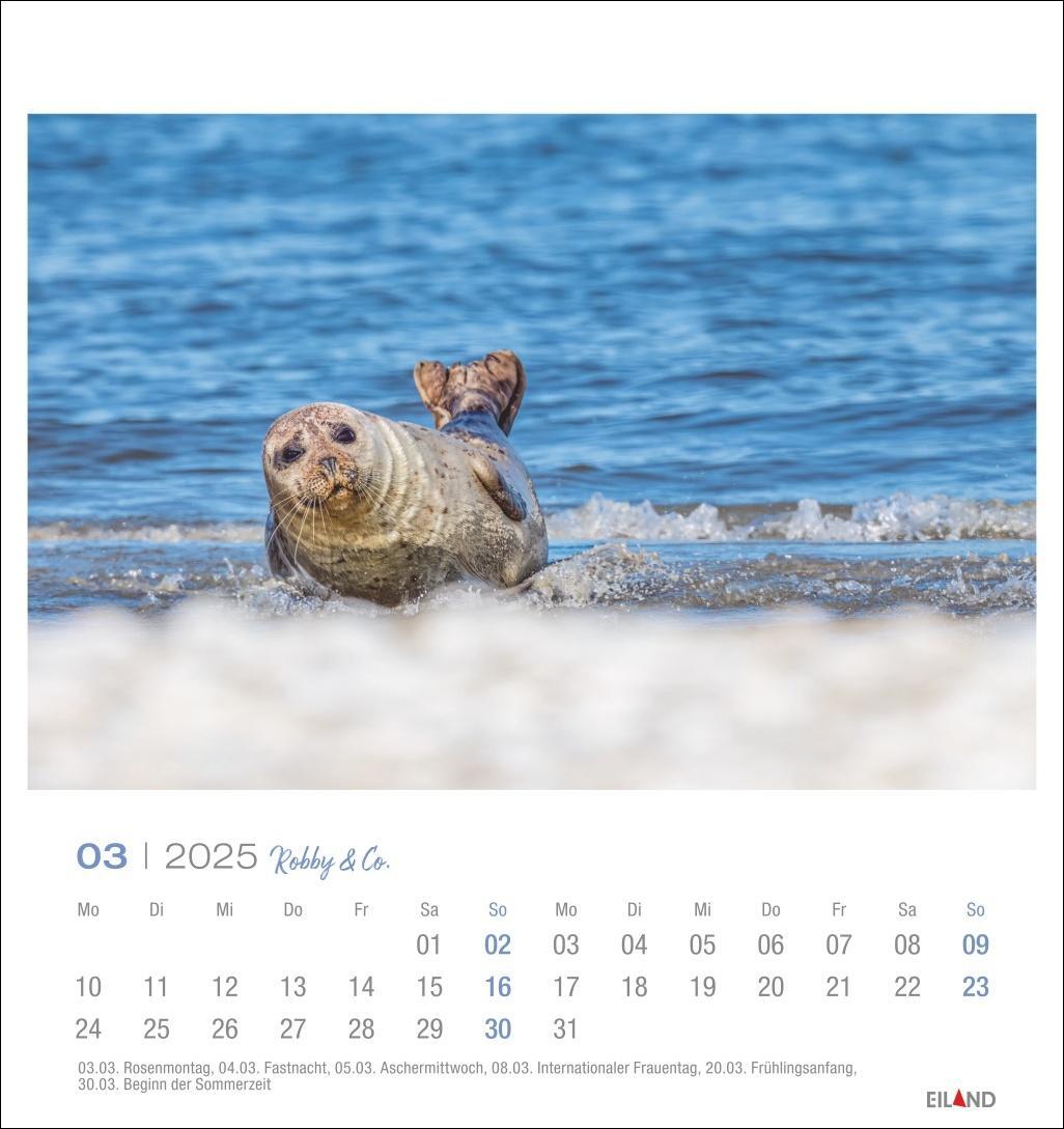Bild: 9783964023322 | Robby &amp; Co. Postkartenkalender 2025 | Kalender | Spiralbindung | 13 S.