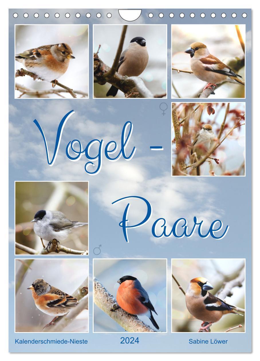 Cover: 9783675627116 | Vogel-Paare (Wandkalender 2024 DIN A4 hoch), CALVENDO Monatskalender