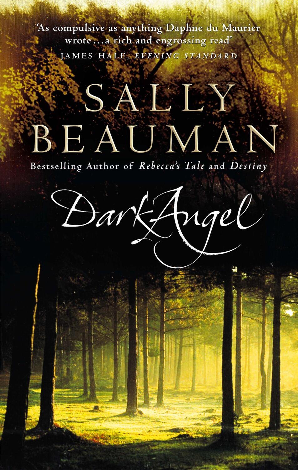 Cover: 9780751534658 | Dark Angel | Sally Beauman | Taschenbuch | Kartoniert / Broschiert